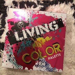 Hank & Henry living in color palette